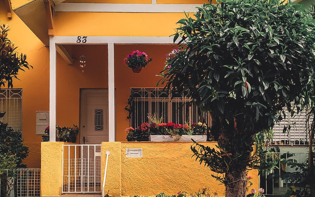 Effectieve Methoden om Verschillende Soorten Ongedierte te Bestrijden