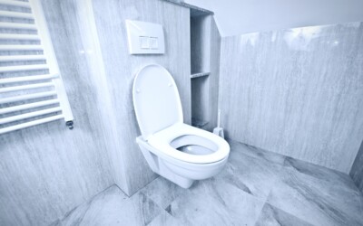 De Revolutie in Toilet Renovatie: Gemak, Snelheid en Stijl met Toilet Direct