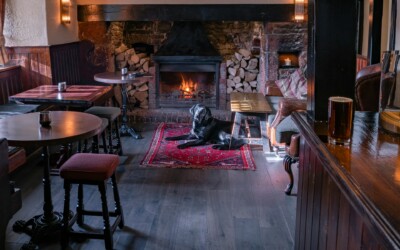 Creëer de Ultieme Leeshoek met een Elektrische Haard