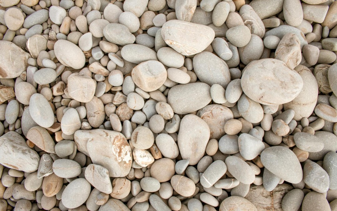 De veelzijdigheid van schanskorf: ontdek de talloze toepassingen