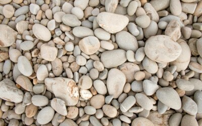 De veelzijdigheid van schanskorf: ontdek de talloze toepassingen