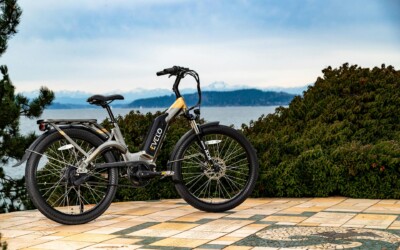 Elektrische fiets opladers: de sleutel tot moeiteloos opladen