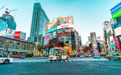 Welke stad heeft de meeste inwoners? Nederland, Europa & de wereld