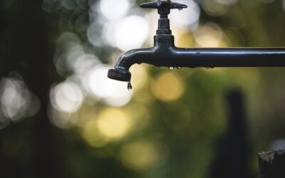 Kan je in België water uit de kraan drinken?